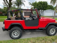 1989 Jeep Wrangler for sale in Michigan (ID-114019)