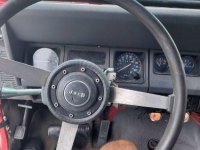 1989 Jeep Wrangler for sale in Michigan (ID-119652)