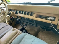 1989 Jeep Wrangler for sale in Michigan (ID-129912)