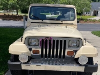 1989 Jeep Wrangler for sale in Michigan (ID-129912)