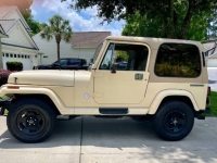 1989 Jeep Wrangler for sale in Michigan (ID-129912)
