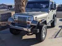 1989 Jeep Wrangler for sale in Michigan (ID-138029)