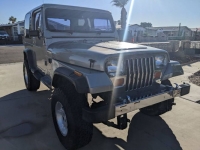 1989 Jeep Wrangler for sale in Michigan (ID-138029)