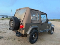 1989 Jeep Wrangler for sale in Michigan (ID-162120)