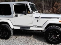 1989 Jeep YJ for sale in Michigan (ID-96347)