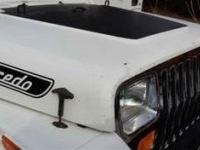 1989 Jeep YJ for sale in Michigan (ID-96347)