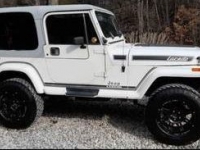 1989 Jeep YJ for sale in Michigan (ID-96347)