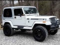 1989 Jeep YJ for sale in Michigan (ID-96347)
