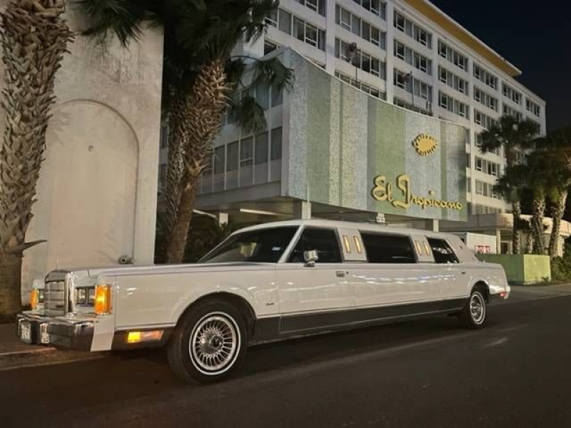 1989 Lincoln Town Car for sale in Michigan (ID-101341)