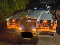 1989 Lincoln Town Car for sale in Michigan (ID-162187)