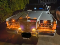 1989 Lincoln Town Car for sale in Michigan (ID-162187)