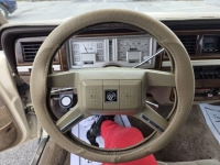 1989 Mercury Grand Marquis for sale in Michigan (ID-155699)