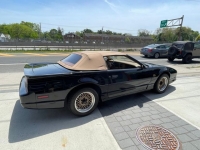 1989 Pontiac Firebird for sale in Riverhead, New York (ID-98630)