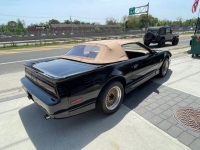 1989 Pontiac Firebird for sale in Riverhead, New York (ID-98630)