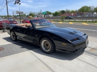 1989 Pontiac Firebird for sale in Riverhead, New York (ID-98630)