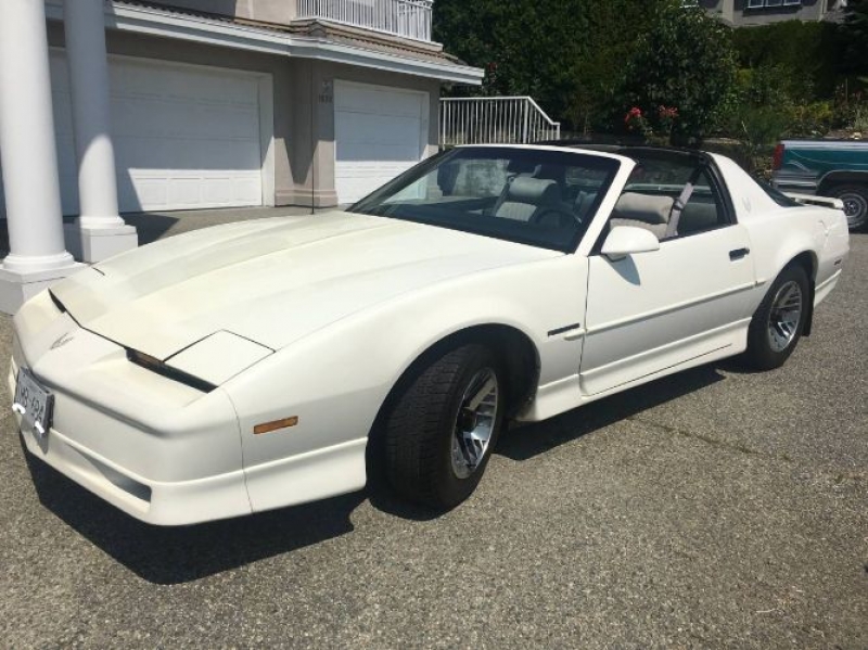 1989 Pontiac Firebird for sale in Michigan (ID-121051)