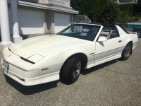 1989 Pontiac Firebird for sale in Michigan (ID-121051)