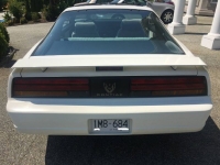 1989 Pontiac Firebird for sale in Michigan (ID-121051)