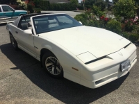 1989 Pontiac Firebird for sale in Michigan (ID-121051)