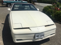 1989 Pontiac Firebird for sale in Michigan (ID-121051)
