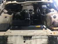1989 Pontiac Firebird for sale in Michigan (ID-121051)