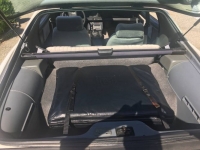 1989 Pontiac Firebird for sale in Michigan (ID-121051)