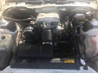 1989 Pontiac Firebird for sale in Michigan (ID-121051)