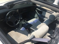 1989 Pontiac Firebird for sale in Michigan (ID-121051)