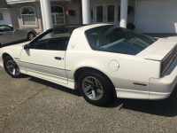1989 Pontiac Firebird for sale in Michigan (ID-121051)