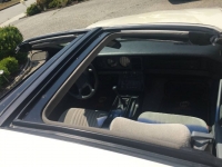 1989 Pontiac Firebird for sale in Michigan (ID-121051)