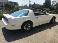 1989 Pontiac Firebird for sale in Michigan (ID-121051)