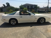1989 Pontiac Firebird for sale in Michigan (ID-121051)