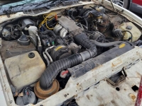 1989 Pontiac Firebird for sale in Michigan (ID-125554)