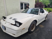 1989 Pontiac Firebird for sale in Michigan (ID-125554)