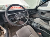 1989 Pontiac Firebird for sale in Michigan (ID-125554)