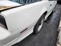 1989 Pontiac Firebird for sale in Michigan (ID-125554)
