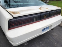 1989 Pontiac Firebird for sale in Michigan (ID-125554)
