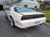 1989 Pontiac Firebird for sale in Michigan (ID-125554)