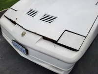 1989 Pontiac Firebird for sale in Michigan (ID-125554)
