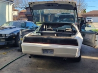 1989 Pontiac Firebird for sale in Michigan (ID-125554)