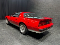 1989 Pontiac Firebird for sale in Addison, Illinois (ID-126899)