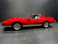 1989 Pontiac Firebird for sale in Addison, Illinois (ID-126899)
