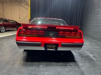 1989 Pontiac Firebird for sale in Addison, Illinois (ID-126899)