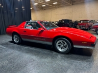 1989 Pontiac Firebird for sale in Addison, Illinois (ID-126899)