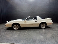 1989 Pontiac Firebird for sale in Addison, Illinois (ID-126920)