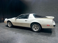 1989 Pontiac Firebird for sale in Addison, Illinois (ID-126920)