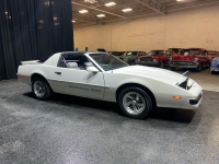 1989 Pontiac Firebird for sale in Addison, Illinois (ID-126920)
