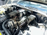 1989 Pontiac Firebird for sale in Addison, Illinois (ID-126920)