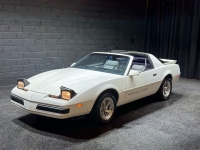 1989 Pontiac Firebird for sale in Addison, Illinois (ID-126920)