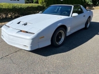1989 Pontiac Firebird for sale in Michigan (ID-130513)